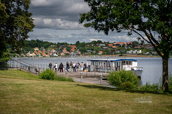 Dagmar - skanderborg sø- print - Fotograf Per Bille-20200709-00499