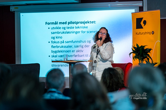 Fyrtårn eller sinke-web-Fotograf Per Bille-20250624-AAA01937