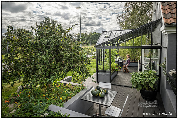 Drivhus - fotograf Per Bille-20160918--3