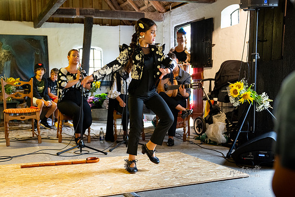 Flamenco - Nøset-web - Fotograf Per Bille-20220821DSC02969