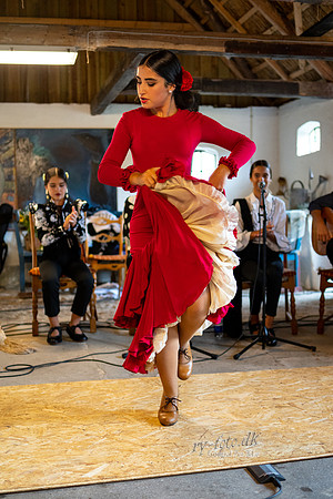 Flamenco - Nøset-web - Fotograf Per Bille-20220821DSC03400