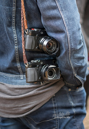 Smuk16_Stemning i skoven_Fotograf Per Bille-20160807-3263